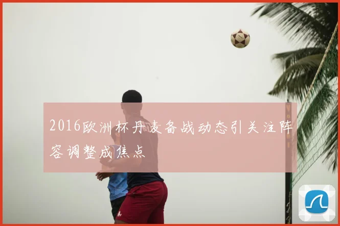 2016欧洲杯丹麦备战动态引关注阵容调整成焦点