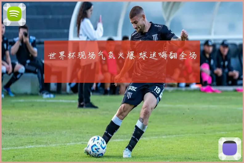 世界杯现场气氛火爆 球迷嗨翻全场