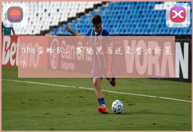 nba黄蜂队：赛场黑马还是潜力新星？