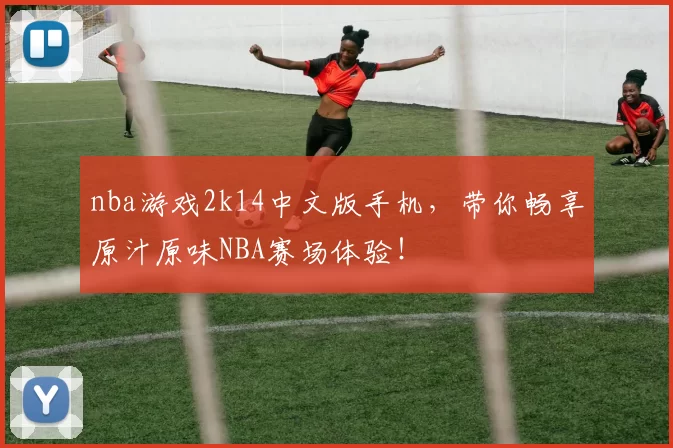 nba游戏2k14中文版手机，带你畅享原汁原味NBA赛场体验！