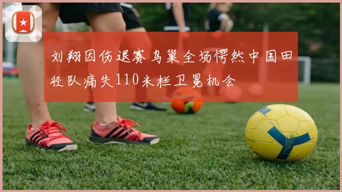 刘翔因伤退赛鸟巢全场愕然中国田径队痛失110米栏卫冕机会